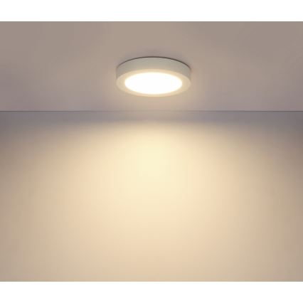 GLOBO 41605-18 - LED Plafón para el baño PAULA 1xLED/18W/230V IP44