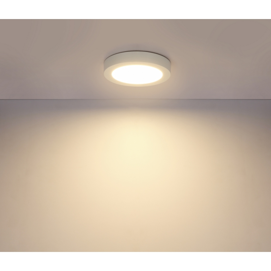GLOBO 41605-18 - LED Plafón para el baño PAULA 1xLED/18W/230V IP44