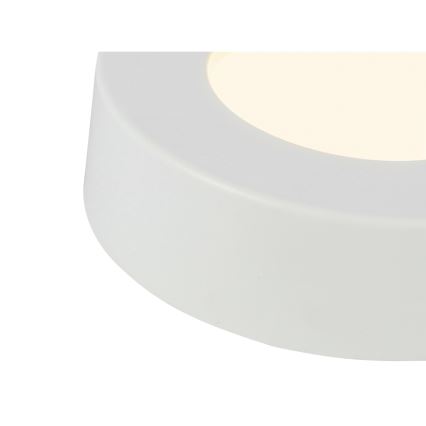 GLOBO - Plafón LED LED/6W/230V