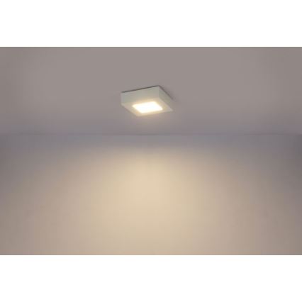 Globo - Plafón LED SVENJA 1xLED/9W/230V 3000/4000/6000K