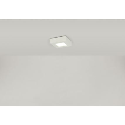 Globo - Plafón LED SVENJA 1xLED/9W/230V 3000/4000/6000K