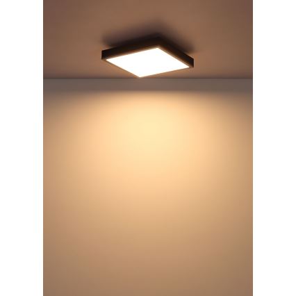 Globo - Plafón LED LED/12W/230V 3000K 30x30 cm