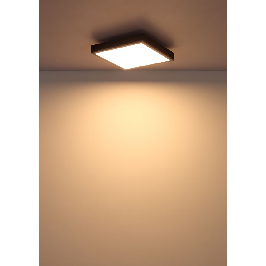 Globo - Plafón LED LED/12W/230V 3000K 30x30 cm