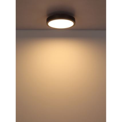 Globo - Plafón LED LED/12W/230V 3000K diá. 30 cm