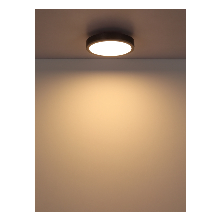 Globo - Plafón LED LED/12W/230V 3000K diá. 30 cm
