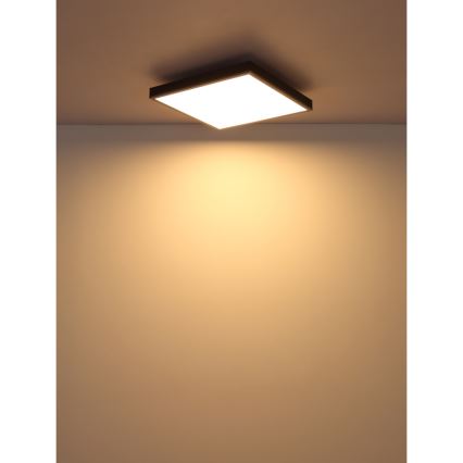 Globo - Plafón LED LED/24W/230V 3000K 45x45 cm