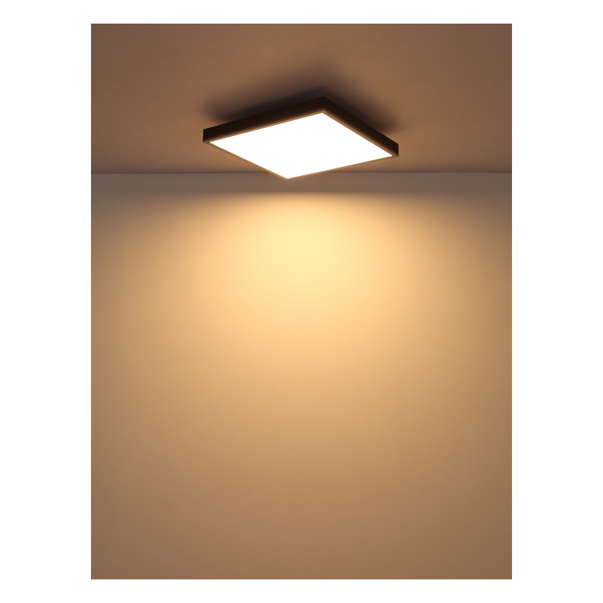 Globo - Plafón LED LED/24W/230V 3000K 45x45 cm