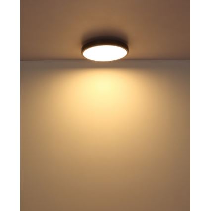 Globo - Plafón LED LED/24W/230V 3000K diá. 45 cm