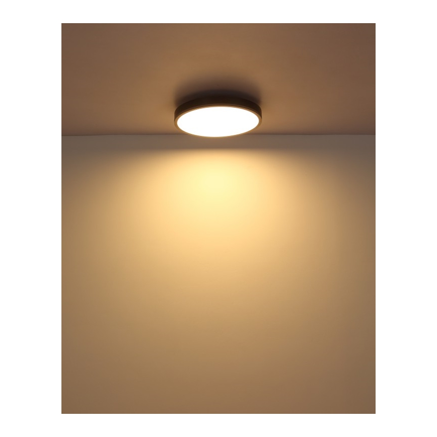 Globo - Plafón LED LED/24W/230V 3000K diá. 45 cm