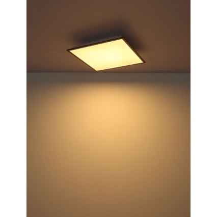 Globo - Plafón LED LED/24W/230V