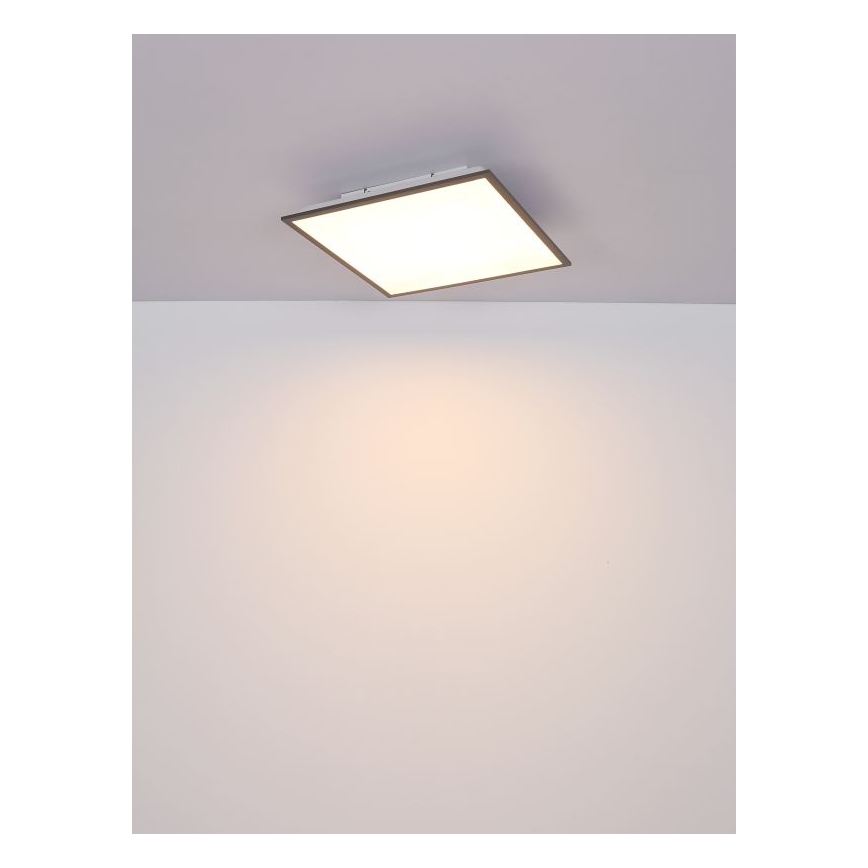 Globo - Plafón LED LED/24W/230V