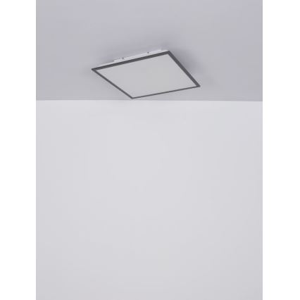 Globo - Plafón LED LED/24W/230V