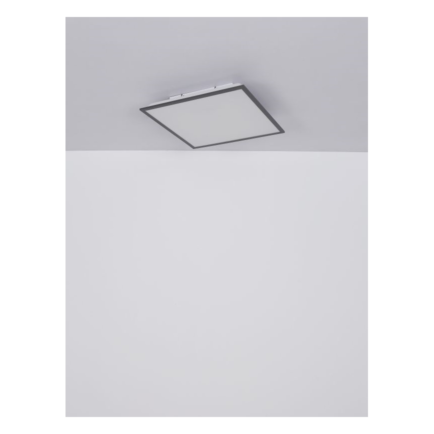 Globo - Plafón LED LED/24W/230V