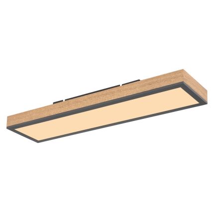 Globo - Plafón LED LED/18W/230V