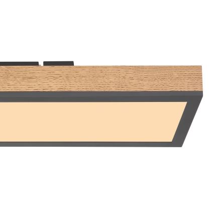 Globo - Plafón LED LED/18W/230V