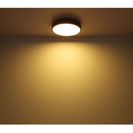 Globo - Plafón LED LED/12W/230V Ø 30 cm