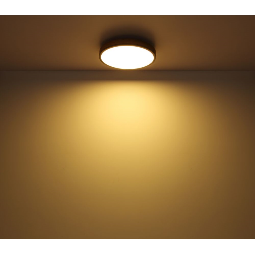 Globo - Plafón LED LED/12W/230V Ø 30 cm