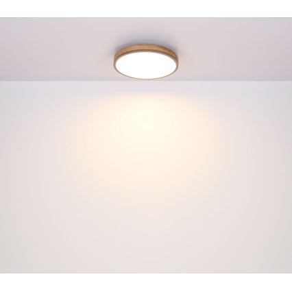 Globo - Plafón LED LED/12W/230V Ø 30 cm