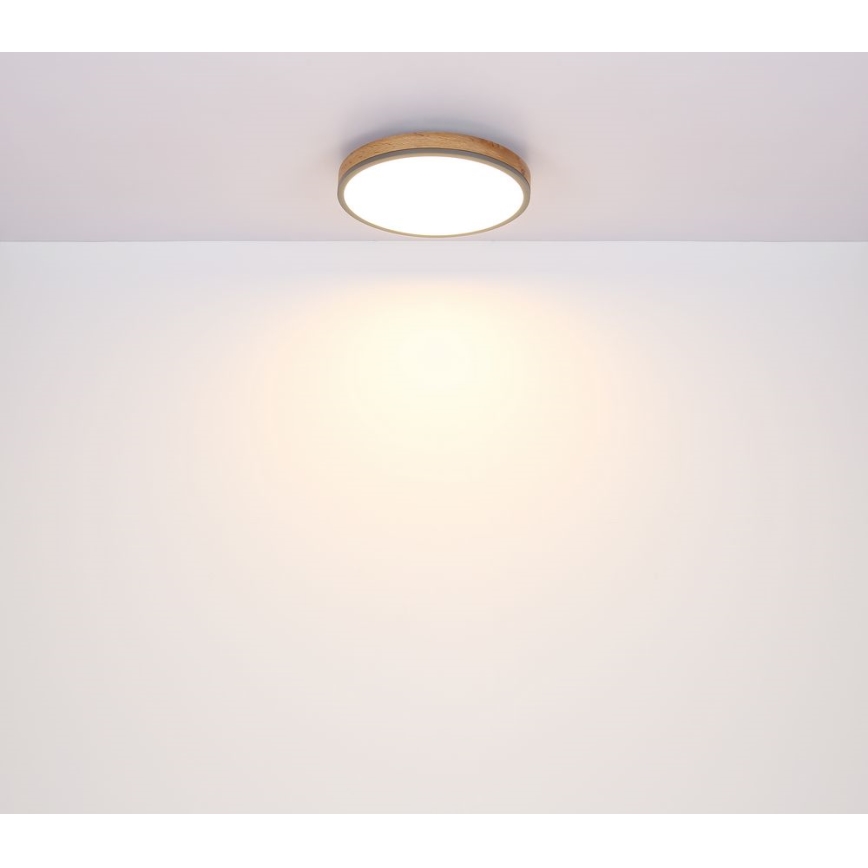 Globo - Plafón LED LED/12W/230V Ø 30 cm