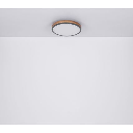 Globo - Plafón LED LED/12W/230V Ø 30 cm
