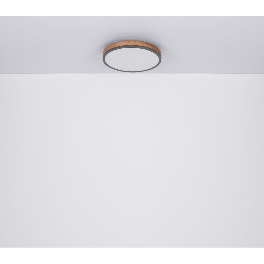 Globo - Plafón LED LED/12W/230V Ø 30 cm