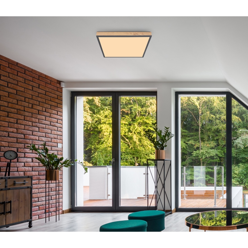 Globo - Plafón LED LED/24W/230V