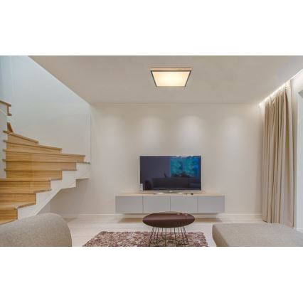 Globo - Plafón LED LED/24W/230V