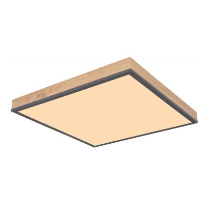 Globo - Plafón LED LED/24W/230V