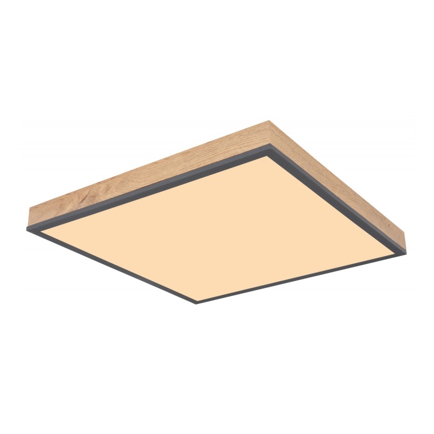 Globo - Plafón LED LED/24W/230V