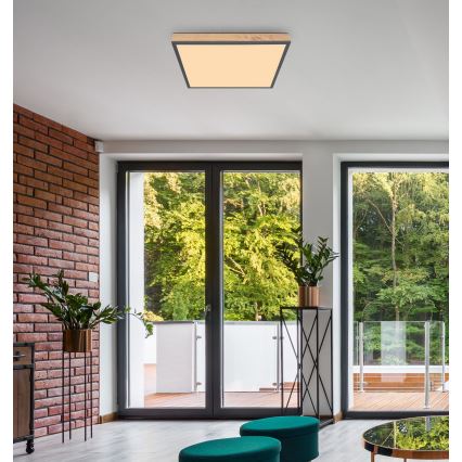 Globo - Plafón LED LED/36W/230V