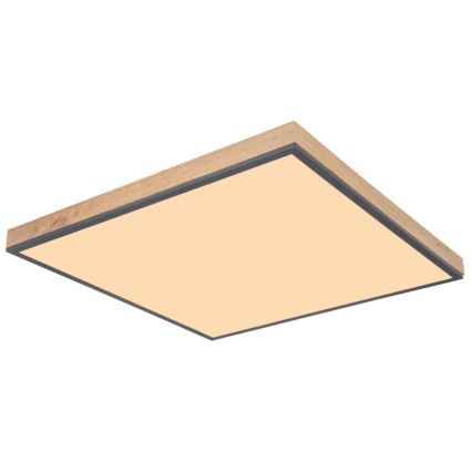 Globo - Plafón LED LED/36W/230V