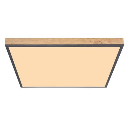 Globo - Plafón LED LED/36W/230V