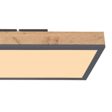 Globo - Plafón LED LED/24W/230V