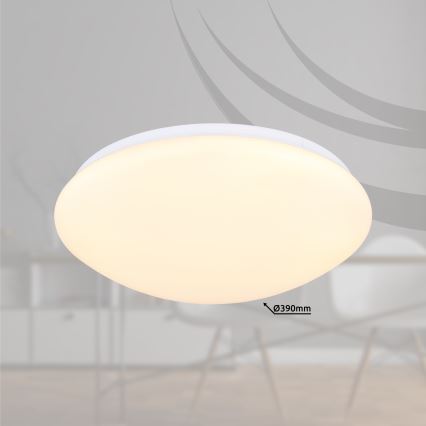 Globo - Plafón LED regulable LED/18W/230V