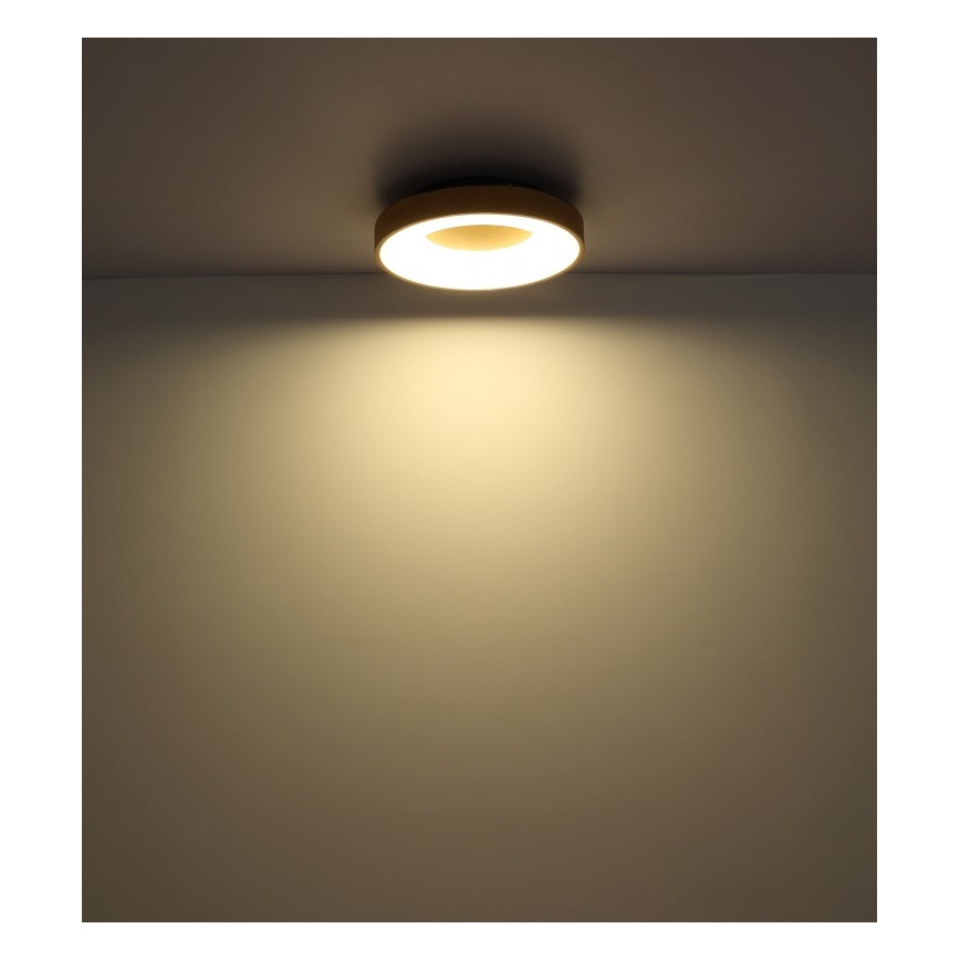 Globo - Plafón LED regulable LED/30W/230V + mando a distancia