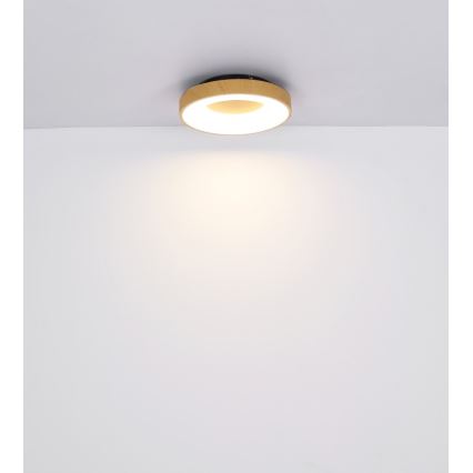 Globo - Plafón LED regulable LED/30W/230V + mando a distancia