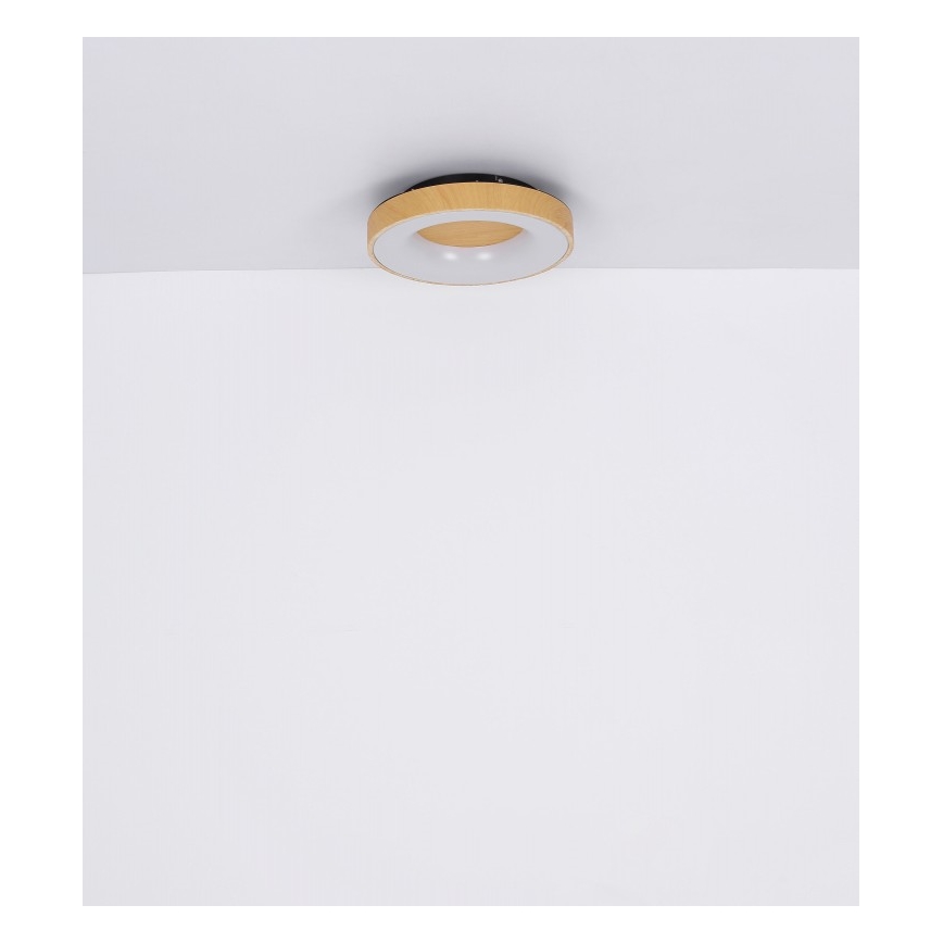Globo - Plafón LED regulable LED/30W/230V + mando a distancia