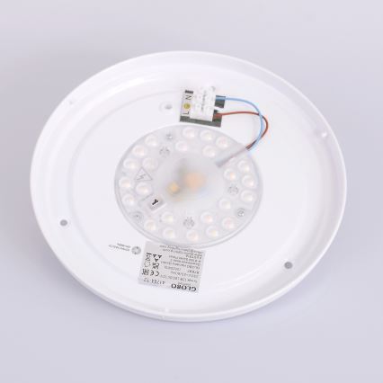 Globo - Lámpara de techo LED LED/12W/230V 307 mm 3000/4500/6000K