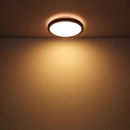 Globo - Plafón LED LED/12W/230V 307 mm 3000/4500/6000K