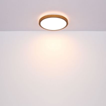 Globo - Plafón LED LED/12W/230V 307 mm 3000/4500/6000K