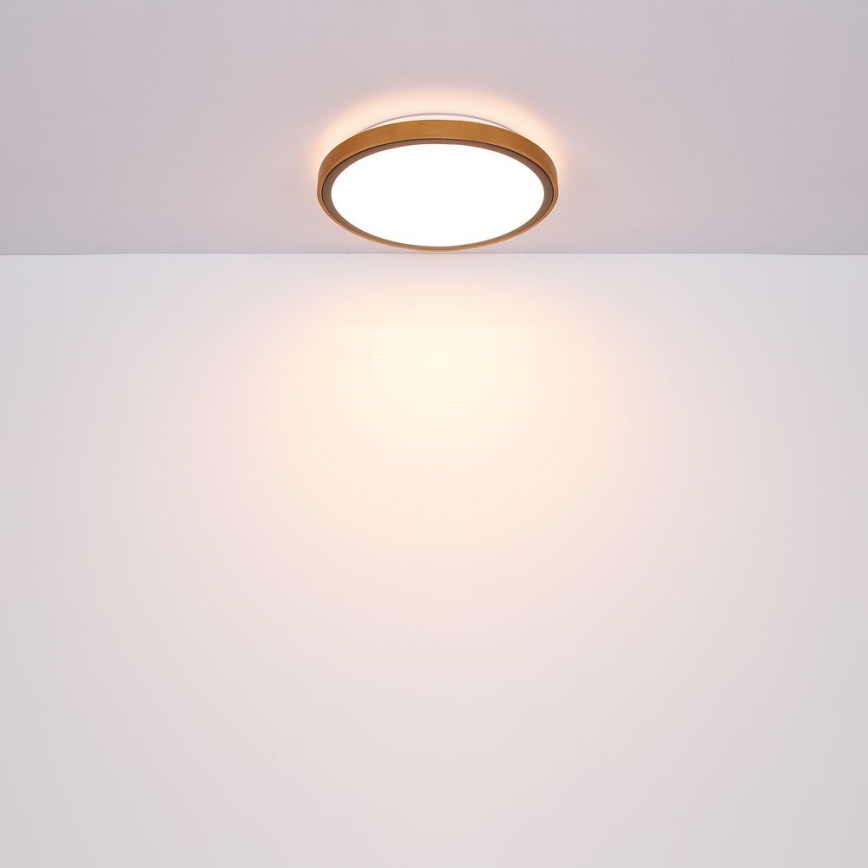Globo - Plafón LED LED/12W/230V 307 mm 3000/4500/6000K