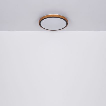 Globo - Plafón LED LED/12W/230V 307 mm 3000/4500/6000K