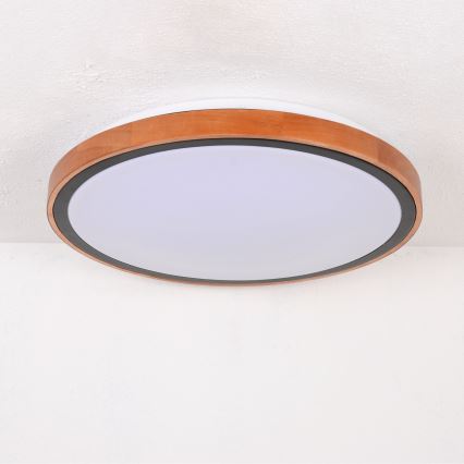 Globo - Plafón LED LED/24W/230V 3000/4500/6000K diá. 43,7 cm