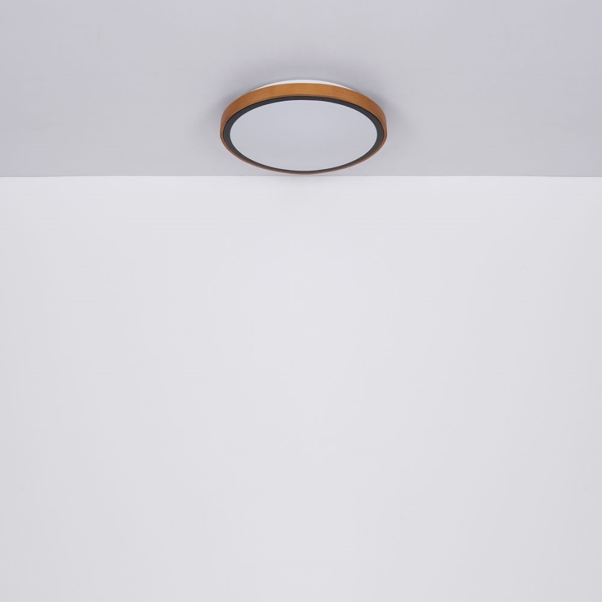Globo - Plafón LED LED/24W/230V 3000/4500/6000K diá. 43,7 cm