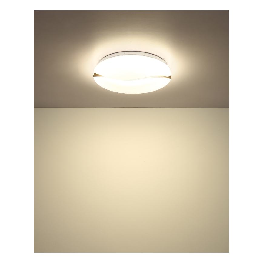 Globo - Lámpara de techo LED LED/24W/230V 3000/4200/6000K Ø 33 cm