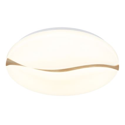 Globo - Lámpara de techo LED LED/24W/230V 3000/4200/6000K Ø 33 cm