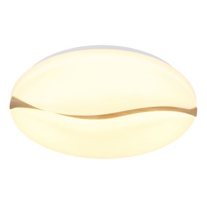 Globo - Lámpara de techo LED LED/24W/230V 3000/4200/6000K Ø 33 cm