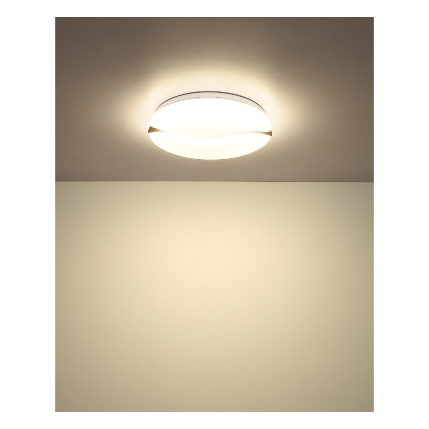 Globo - Plafón LED LED/24W/230V 3000/4200/6000K diá. 39 cm