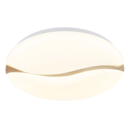 Globo - Plafón LED LED/24W/230V 3000/4200/6000K diá. 39 cm