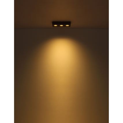 Globo - Plafón LED LED/14W/230V 11,7x33,2 cm